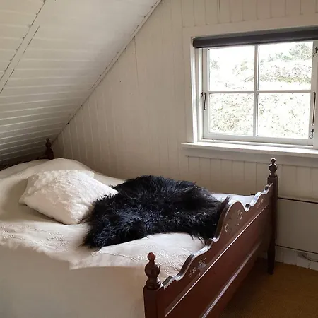 Iii *